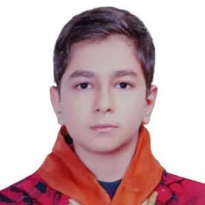 تصویر نمایه امیرحسین سلوکی