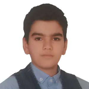 تصویر نمایه محمد حسین فردی
