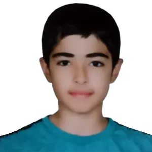 تصویر نمایه حسین مددی