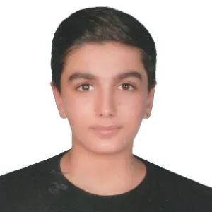 تصویر نمایه امیرعلی محمدی صفات