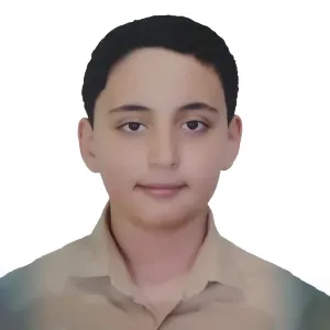 تصویر نمایه امیرعلی صالح