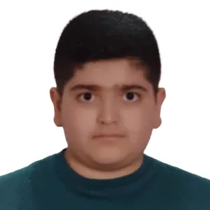 تصویر نمایه علیرضا محمدی ارگنه