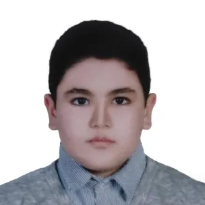 تصویر نمایه علی حمزه پور