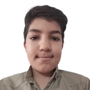 تصویر نمایه امیرعلی صفری