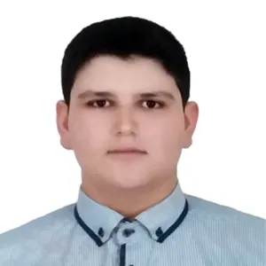 تصویر نمایه متین ویسی