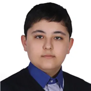 تصویر نمایه پارسا سلیم‌موفق